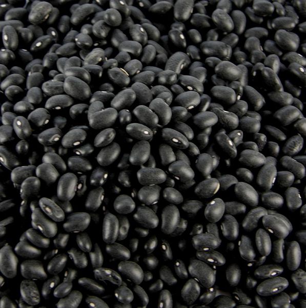black turtle Bohnen 350 g